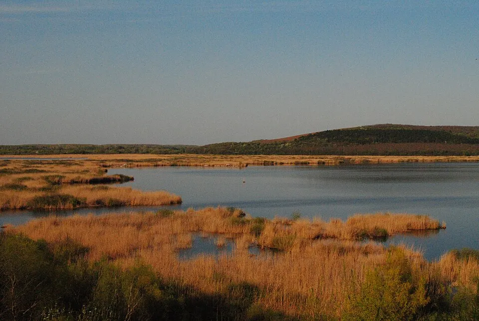 Резерват Сребърна