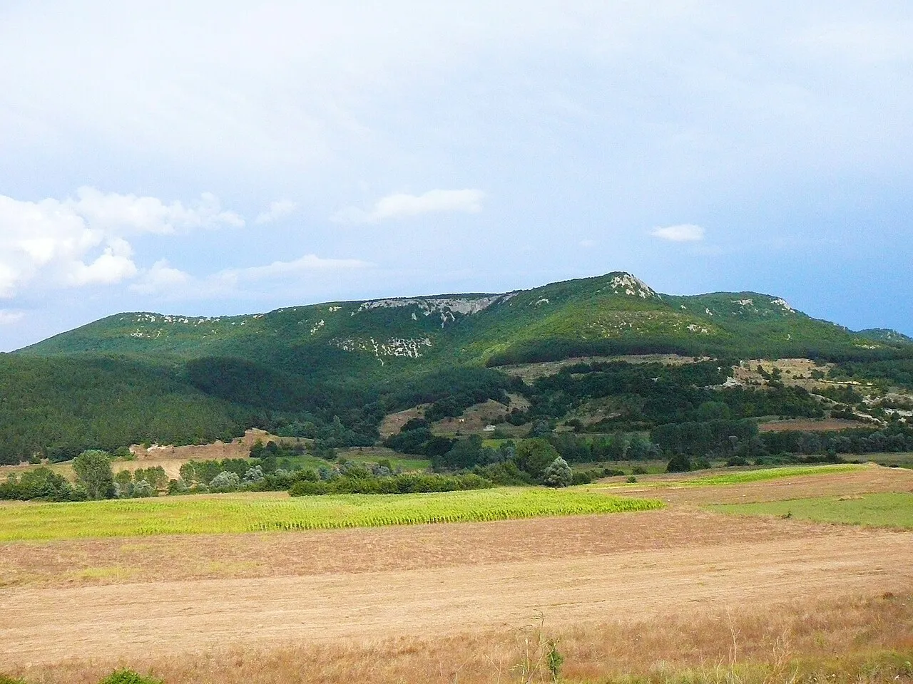 връх Голям Перелик - Panorama