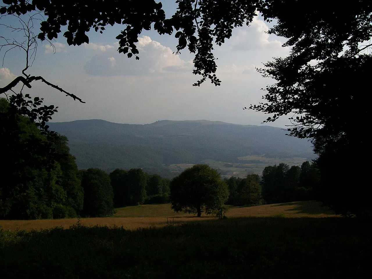 връх Богдан - Panorama