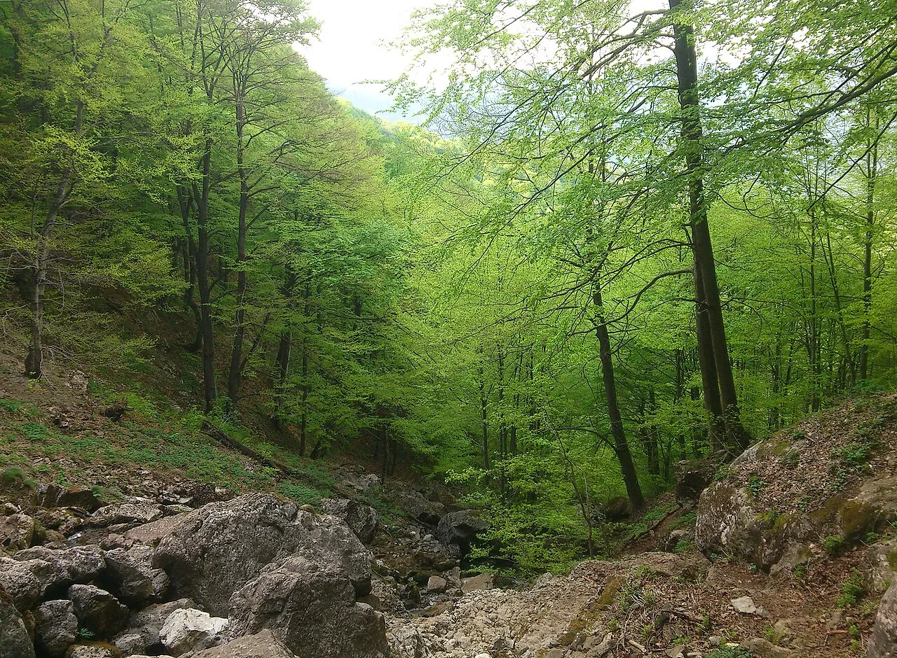 Екопътека Боров камък - галерия 3